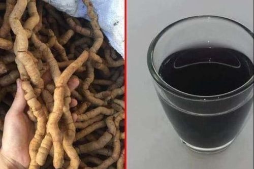Thực hư việc ba kích làm tăng 'bản lĩnh đàn ông'