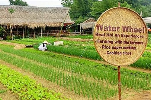Du lịch nông nghiệp nông thôn: Xu thế tất yếu của thế giới