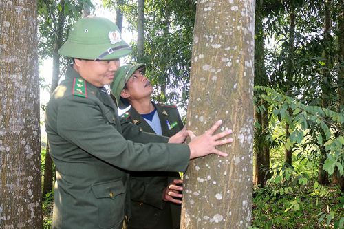 Chính sách hỗ trợ - động lực phát triển nông nghiệp