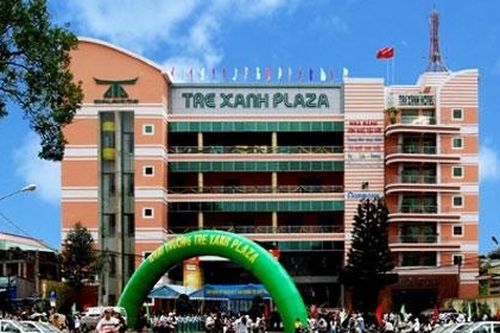 Công ty Gia Lai CTC bị phạt 170 triệu đồng