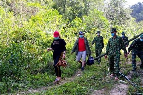 Bắt 2 lao động từ Lào 'cắt rừng' về Việt Nam để trốn cách ly
