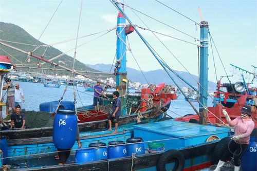 Tàu cá hợp sức 'tác chiến' trên biển (bài 2)