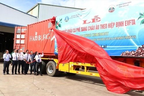 Tăng nguồn lực cho nông sản tiến vào EU