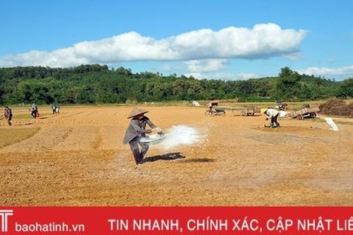 Nông dân Hương Khê rộn ràng xuống đồng khôi phục vụ đông