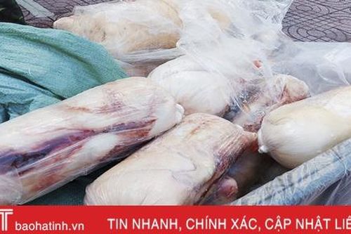 Gần 2 tạ lợn sữa không rõ nguồn gốc suýt thành 'món ngon' tiệc cưới