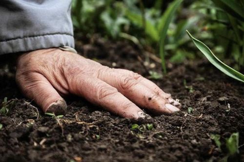 Khẩn: Bộ Y tế cảnh báo số người mắc Whitmore nhanh chóng gia tăng sau mưa lũ