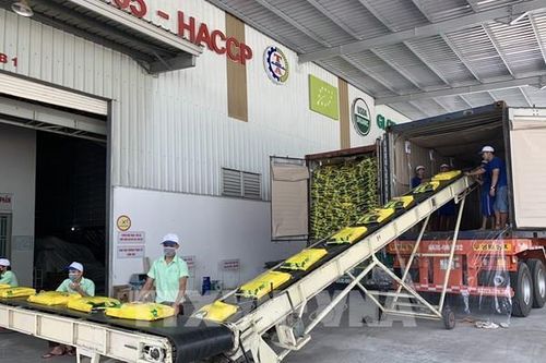 Truyền thông quốc tế đánh giá lạc quan về kinh tế Việt Nam
