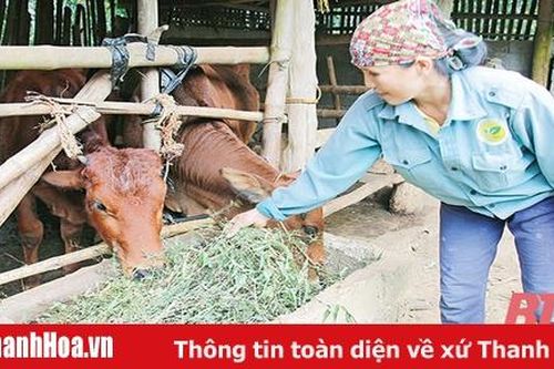 Hiệu quả sau 12 năm thực hiện Nghị quyết 30a của Chính phủ trên địa bàn tỉnh Thanh Hóa