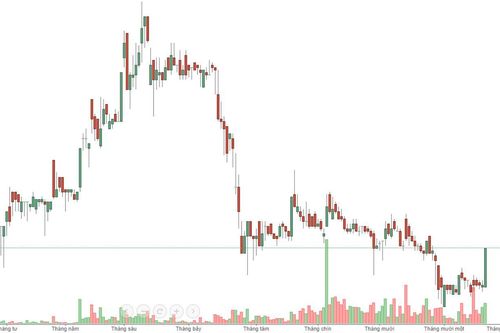 Cổ phiếu nhỏ nổi sóng, VN-Index thận trọng hướng tới mốc 1.000 điểm