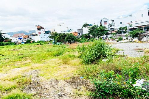 Giải quyết vướng mắc dự án Chung cư 50 Lê Hồng Phong