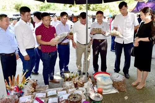 Khôi phục hoạt động du lịch