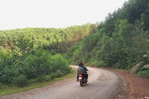 Hướng đi mới của đồng bào Mông xã Cư Drăm