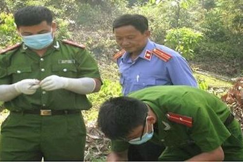 Người đàn ông tử vong trong chuồng bò