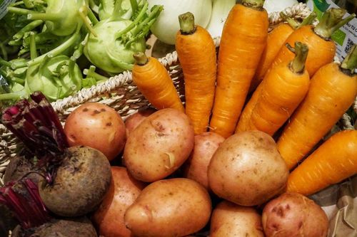 'Đốt' hàng trăm tỷ đồng làm nông nghiệp hữu cơ