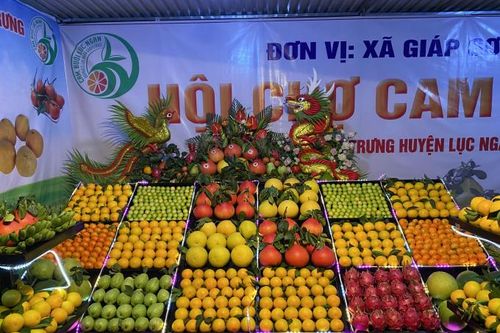 Bắc Giang: Đưa đặc sản vùng lên sàn giao dịch thương mại điện tử