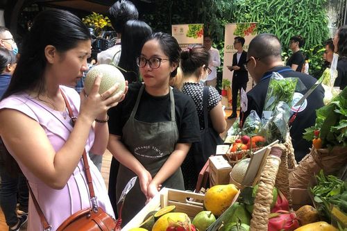 TPHCM: Dân nội trợ 'tranh nhau' mua heo rừng hữu cơ gần 400.000 đồng/kg
