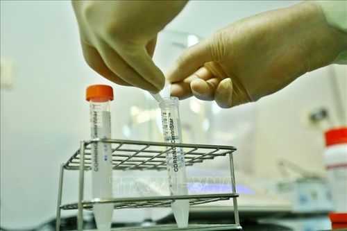 Vắc xin COVID-19 của VABIOTECH đang ở giai đoạn nghiên cứu tiền lâm sàng
