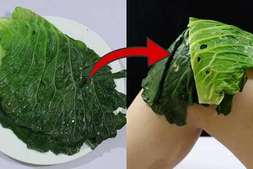 Đắp lá bắp cải vào bộ phận này trước khi đi ngủ: Chuyên gia Đông y công nhận không liều thuốc giảm đau nào bằng!