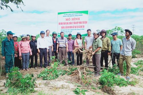 Ia Pa: Hội thảo mô hình quản lý tổng hợp phòng trừ bệnh khảm lá mì