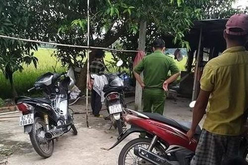 Phát hiện chủ trang trại bò tử vong trong chuồng bò