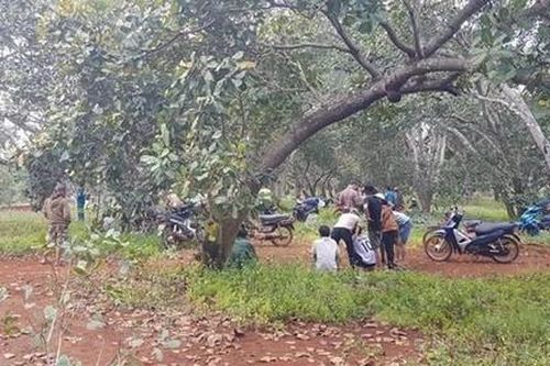 Mâu thuẫn lúc ăn nhậu, đâm chết bạn cùng đi làm thuê