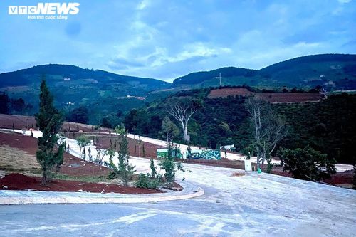 Loạn tình trạng xẻ đồi phân lô, Lâm Đồng mạnh tay 'siết' thị trường