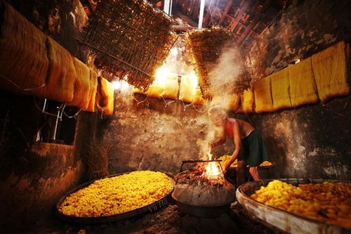 Độc đáo nghề nuôi tằm, ươm tơ