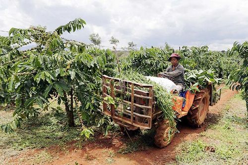 Long An xây dựng nông thôn mới bền vững