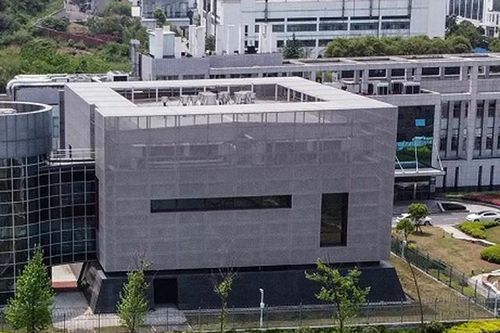 'Người dơi' Trung Quốc nói về nguồn gốc virus corona