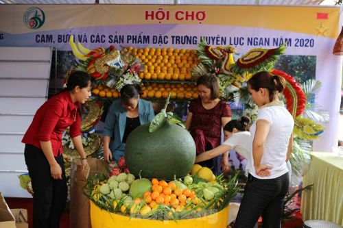Đặc sắc hội chợ cam, bưởi ở Bắc Giang
