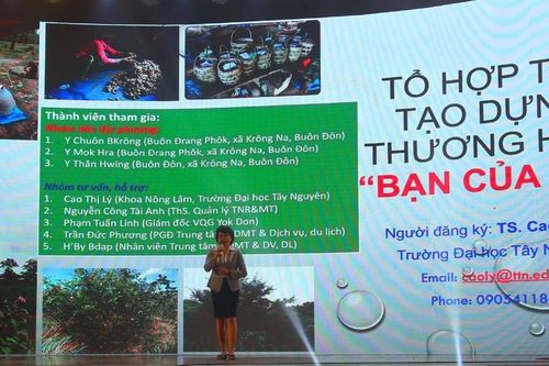 Người trẻ muốn làm 'bạn của voi'