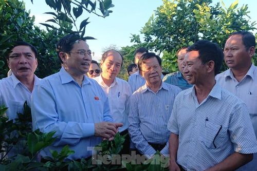 Trưởng ban Tổ chức Trung ương: Phải xử lý pin mặt trời sau khi kết thúc dự án