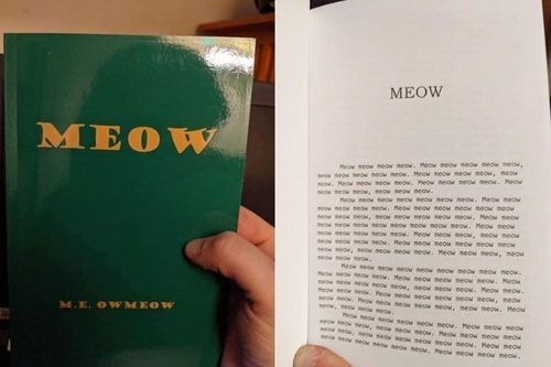 Cuốn sách kỳ lạ nhất thế giới: Viết bằng ngôn ngữ của loài mèo