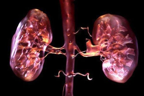 Các thực phẩm khiến bạn nhanh suy thận