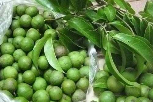 Mẹo bảo quản sấu tươi dùng lâu quanh năm
