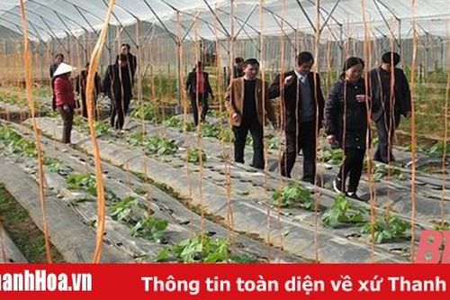 Xã Ngọc Sơn xây dựng nông thôn mới nâng cao