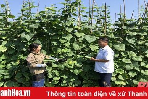 Đảng bộ xã Nông Trường đổi mới phương thức lãnh đạo theo hướng gần dân, sát cơ sở