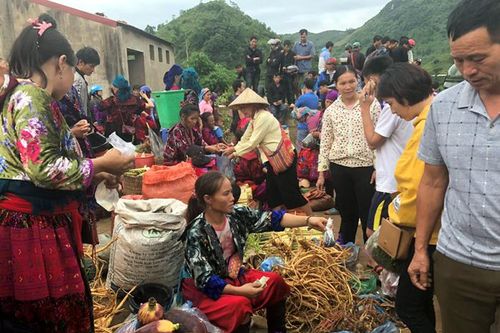 Kiểm soát ngộ độc từ rượu ngâm