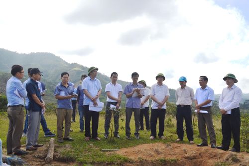 Không thu hồi đất rừng tự nhiên, rừng phòng hộ nằm trong quy hoạch để xây dựng dự án của doanh nghiệp
