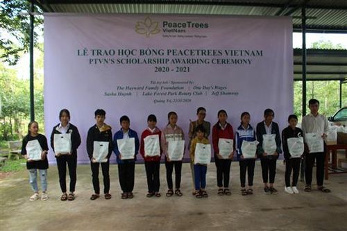 Peace Tree Vietnam grants PeaceTrees Vietnam Scholarship school year 2020-2021