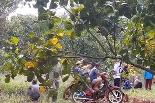 Hai vụ án mạng sau tiệc rượu và ma túy