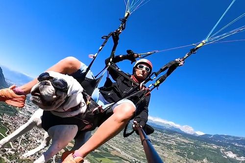 Trải nghiệm đi làm bằng dù lượn tại Thụy Sĩ