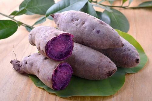 Khoai lang tím có lợi ích gì với sức khỏe?