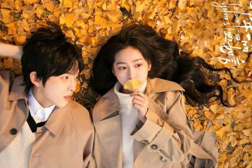 Dàn cast của 'Mười Năm Nhất Phẩm Ôn Như Ngôn': Không phải Dương Tử và Lý Dịch Phong