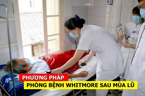 Các phương pháp phòng bệnh Whitmore sau mùa lũ