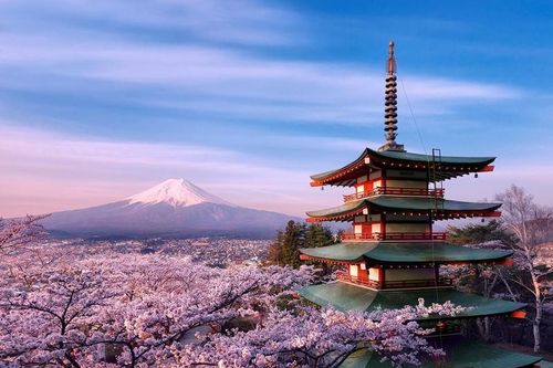 Vì sao người Nhật Bản gọi hoa anh đào là Sakura?
