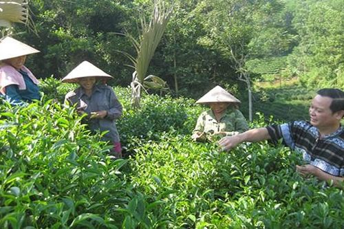 Thái Nguyên: Hiệu quả từ chương trình đào tạo nghề cho người yếu thế