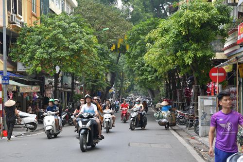 Chùm ảnh: Phố Hàng Mã chuẩn bị sẵn sàng cho mùa Noel