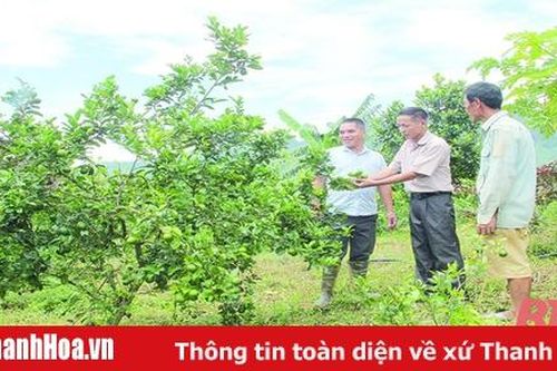 Hiệu quả phong trào thi đua 'Dân vận khéo' ở huyện Bá Thước