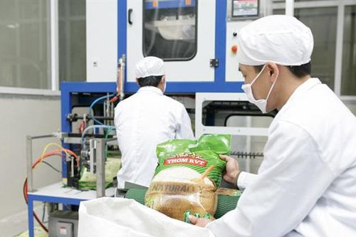 Tập đoàn PAN chính thức nâng tỷ lệ sở hữu tại VFG lên 47,97%